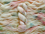 So Ranunculus