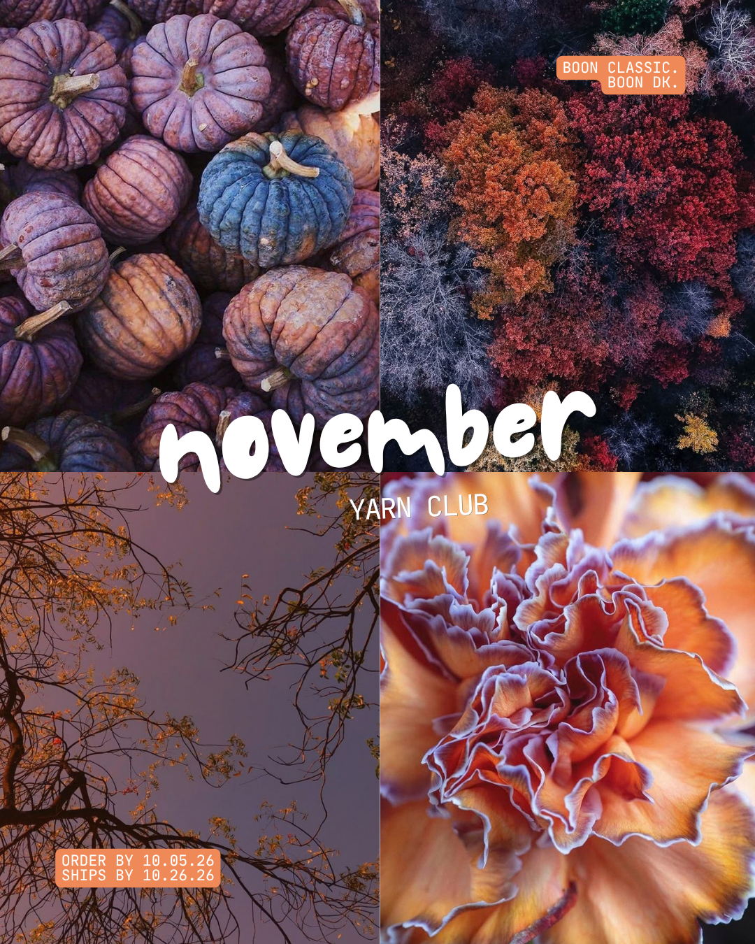 monthly yarn club /